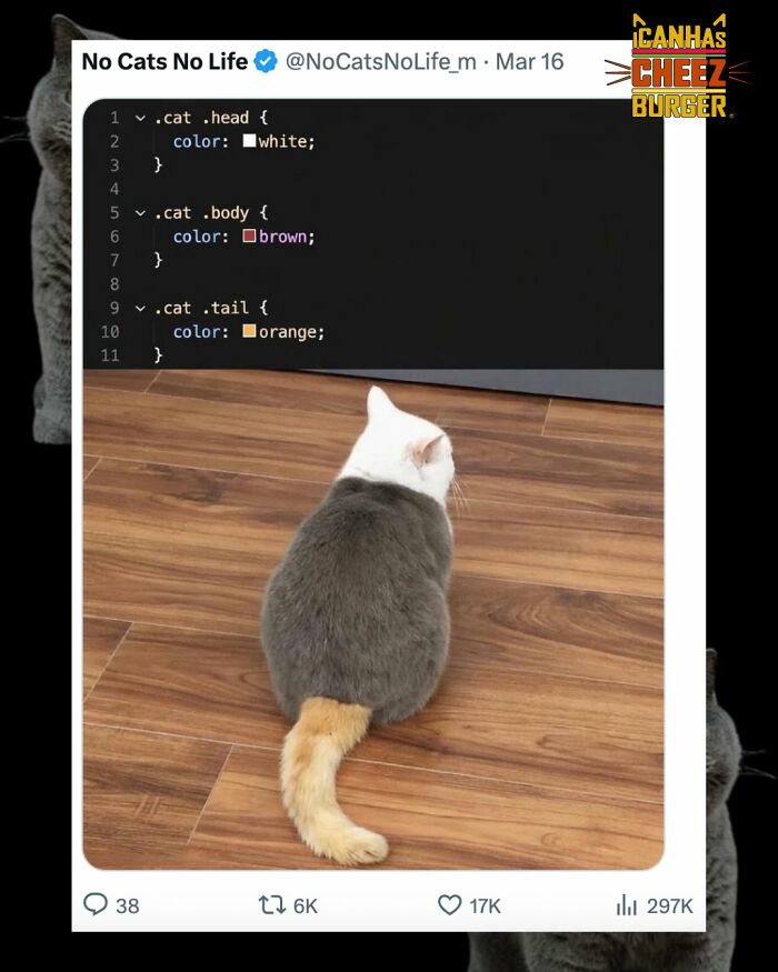 The Funniest Cat Chaos From The OG Meme Masters