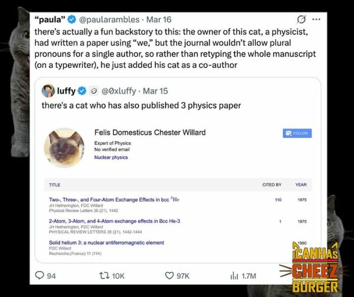 The Funniest Cat Chaos From The OG Meme Masters