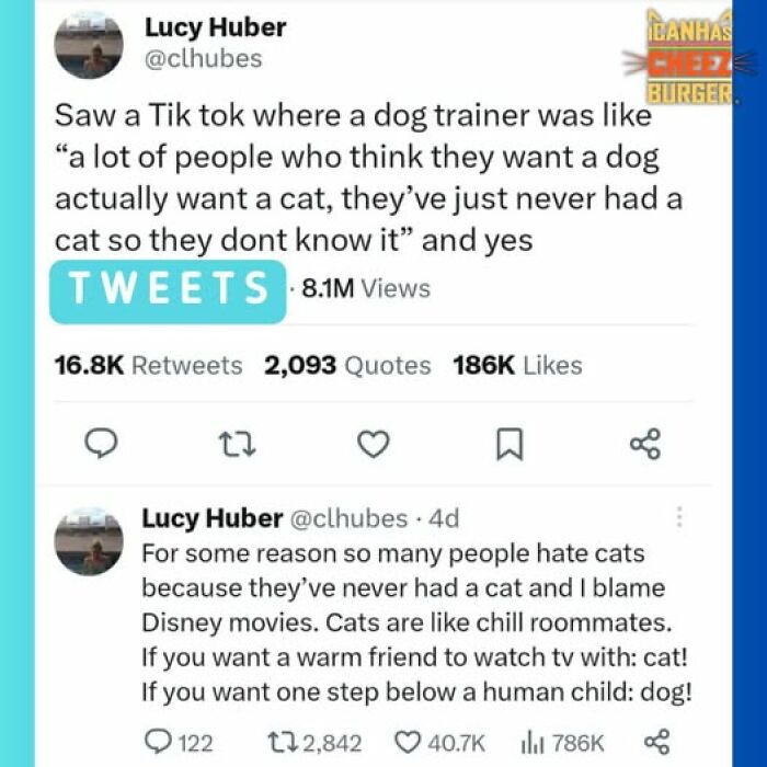 The Funniest Cat Chaos From The OG Meme Masters