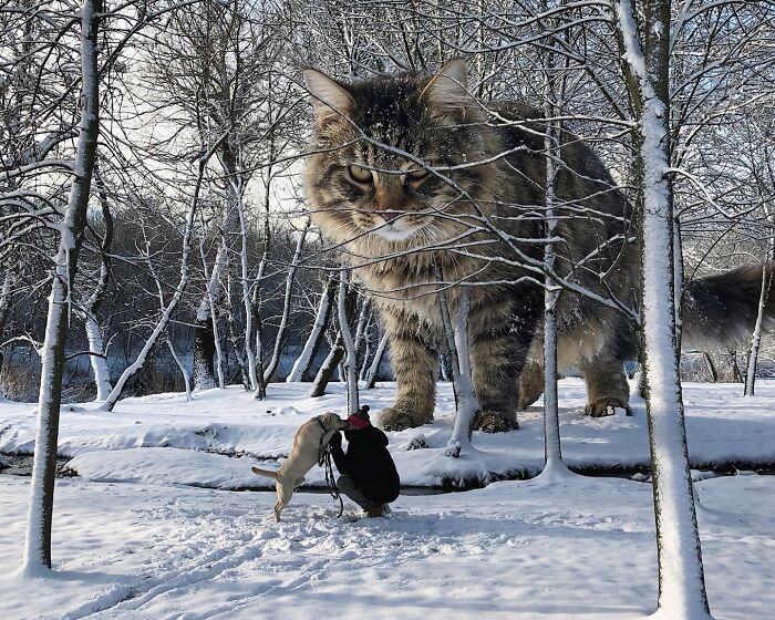 Giant Cats Take Over! Photoshop Magic That’ll Make You Smile