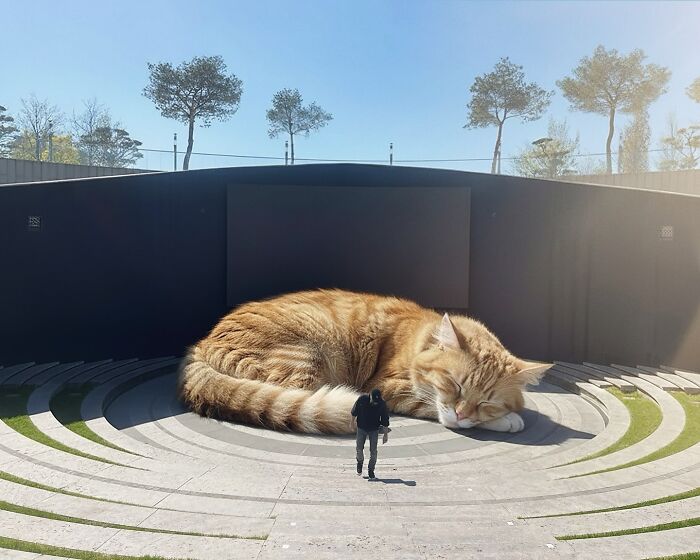 Giant Cats Take Over! Photoshop Magic That’ll Make You Smile