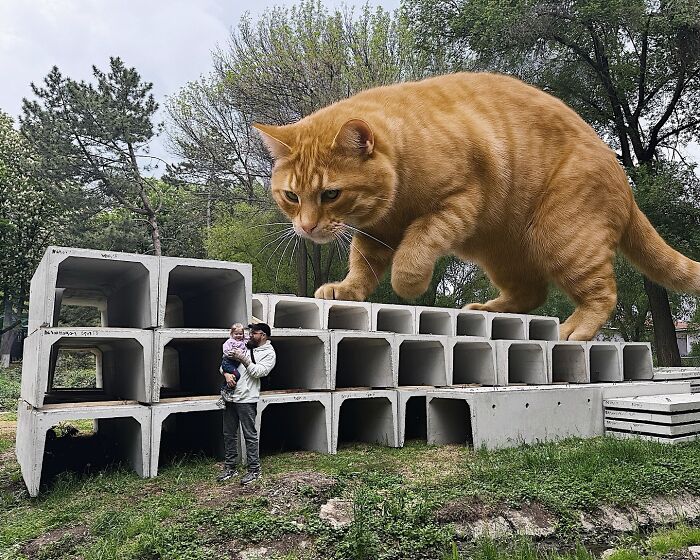 Giant Cats Take Over! Photoshop Magic That’ll Make You Smile