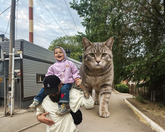 Giant Cats Take Over! Photoshop Magic That’ll Make You Smile