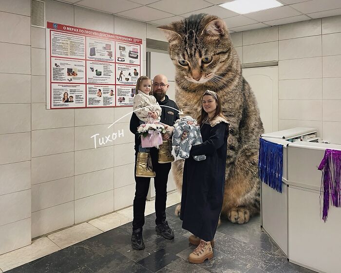 Giant Cats Take Over! Photoshop Magic That’ll Make You Smile