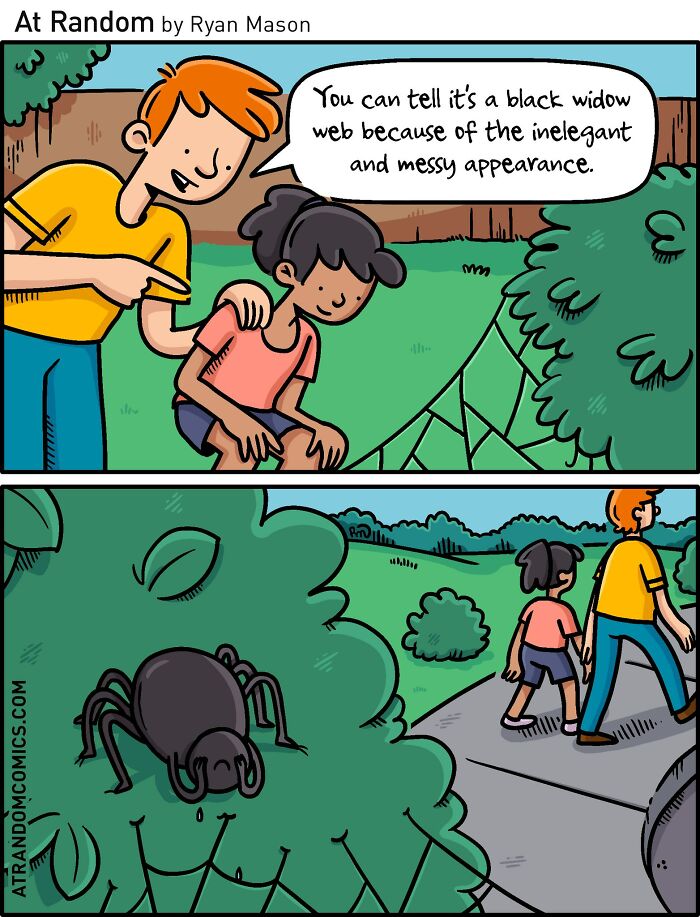 A Widow's Web: Spinning More Than Just Silk