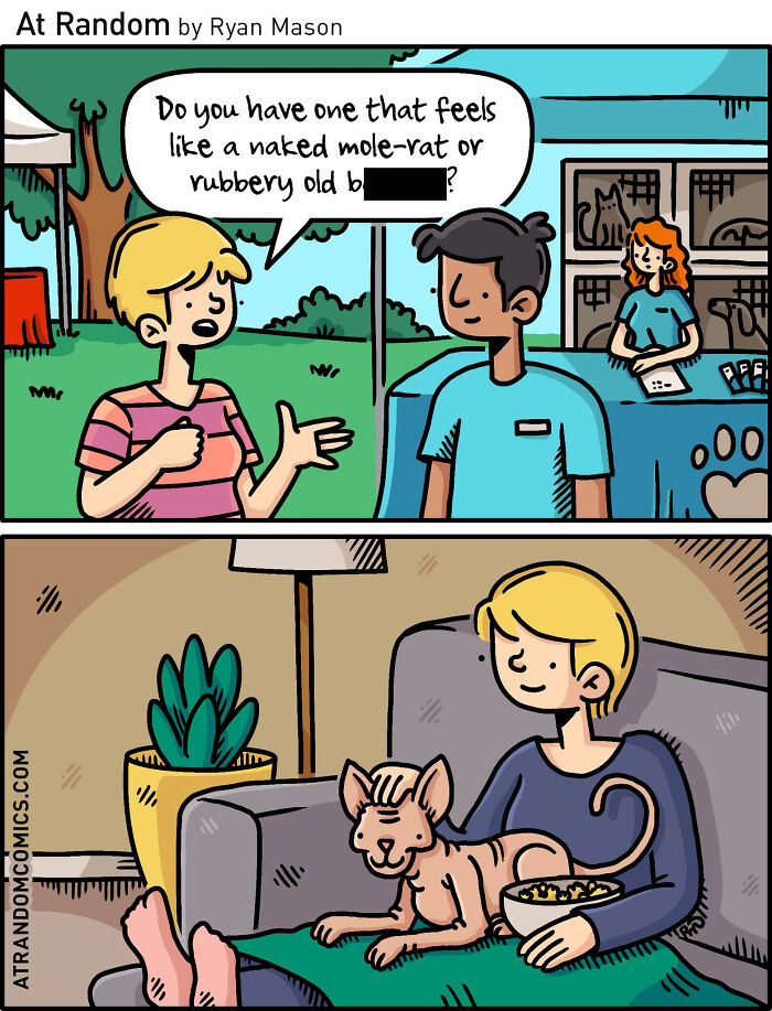 Hairless Cat: Feline Or Alien?