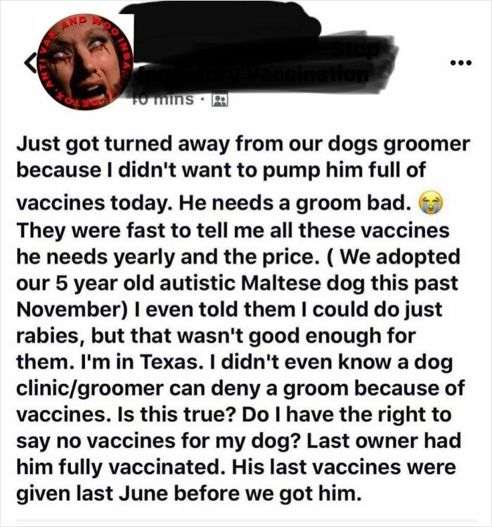 Autistic Dogs? What’s Next?