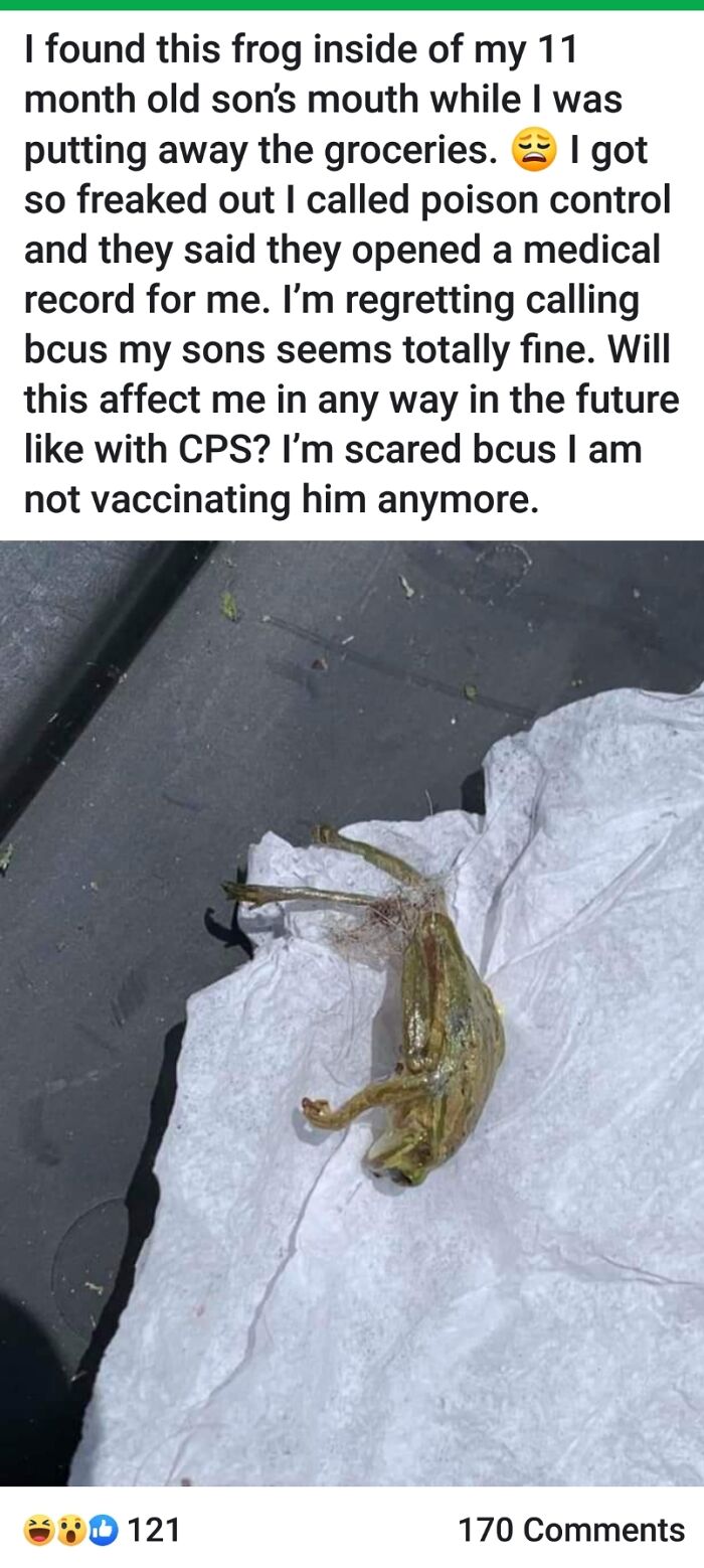 So, This Frog Was In My Kid’s Mouth... Okay Then
