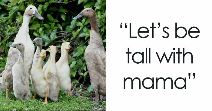 Tumblr’s Comeback Party: 30+ Hilarious Posts That Prove It’s Not Dead Yet