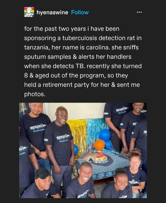 Tumblr's Comeback Party: 30+ Hilarious Posts That Prove It's Not Dead Yet