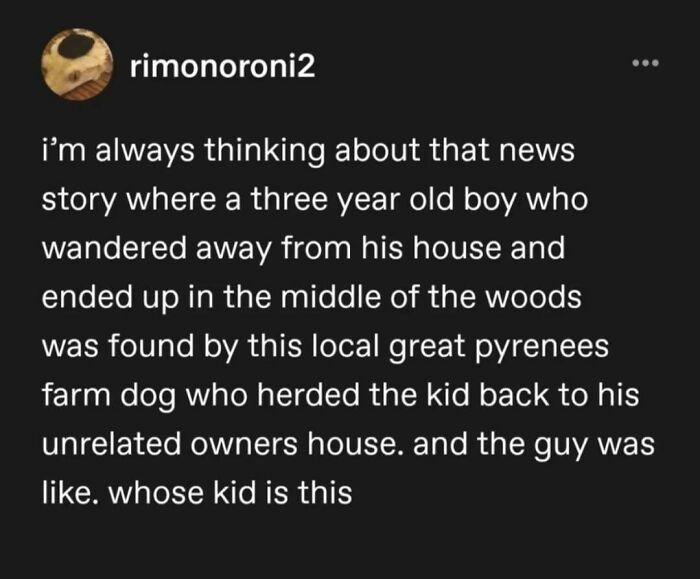 Tumblr's Comeback Party: 30+ Hilarious Posts That Prove It's Not Dead Yet