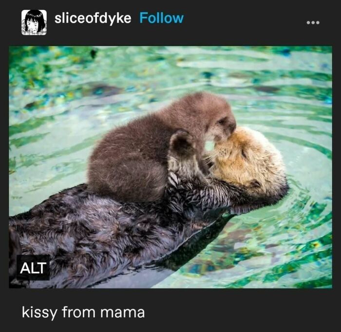 Tumblr's Comeback Party: 30+ Hilarious Posts That Prove It's Not Dead Yet