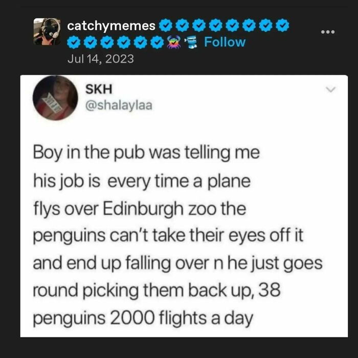 Tumblr's Comeback Party: 30+ Hilarious Posts That Prove It's Not Dead Yet