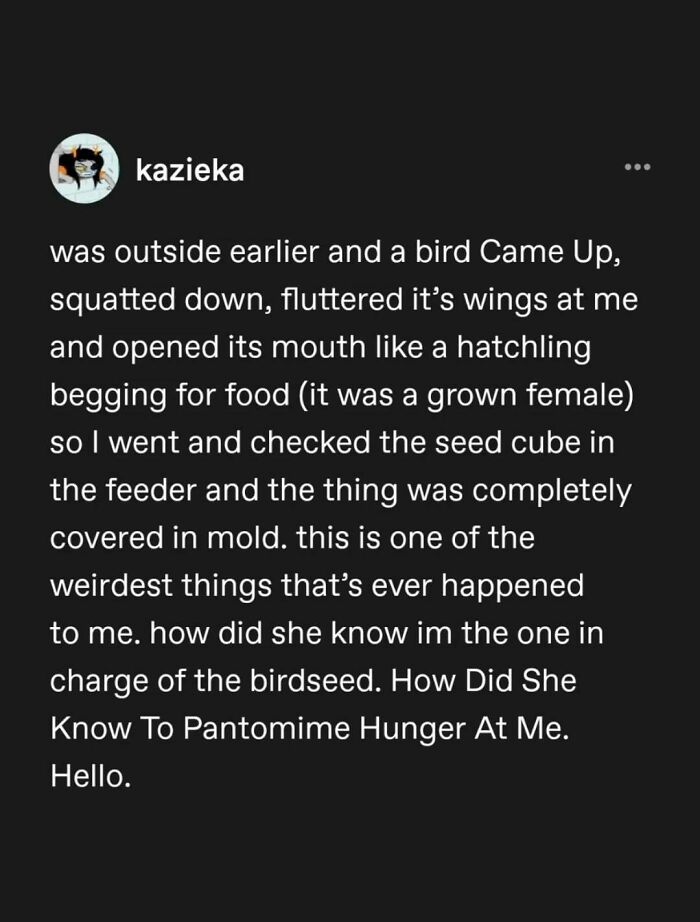 Tumblr's Comeback Party: 30+ Hilarious Posts That Prove It's Not Dead Yet