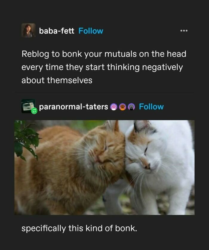 Tumblr's Comeback Party: 30+ Hilarious Posts That Prove It's Not Dead Yet