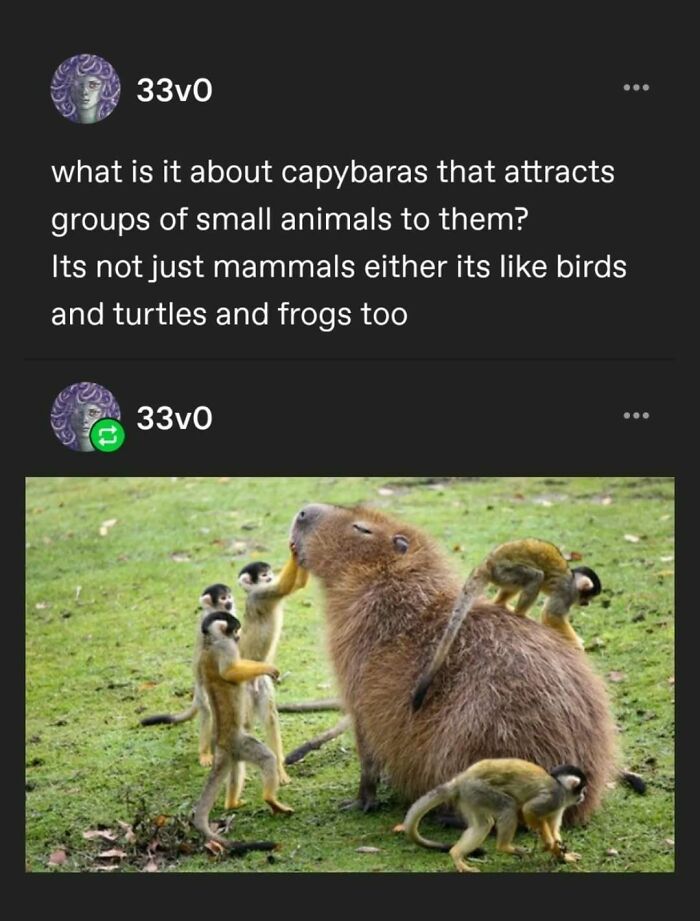 Tumblr's Comeback Party: 30+ Hilarious Posts That Prove It's Not Dead Yet