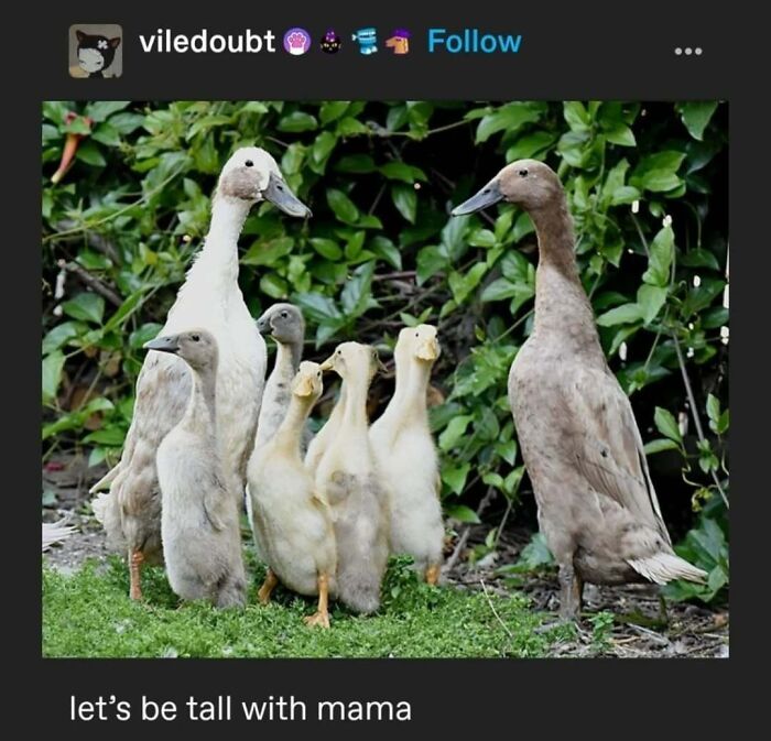 Tumblr's Comeback Party: 30+ Hilarious Posts That Prove It's Not Dead Yet