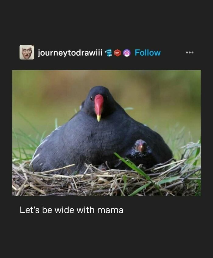 Tumblr's Comeback Party: 30+ Hilarious Posts That Prove It's Not Dead Yet