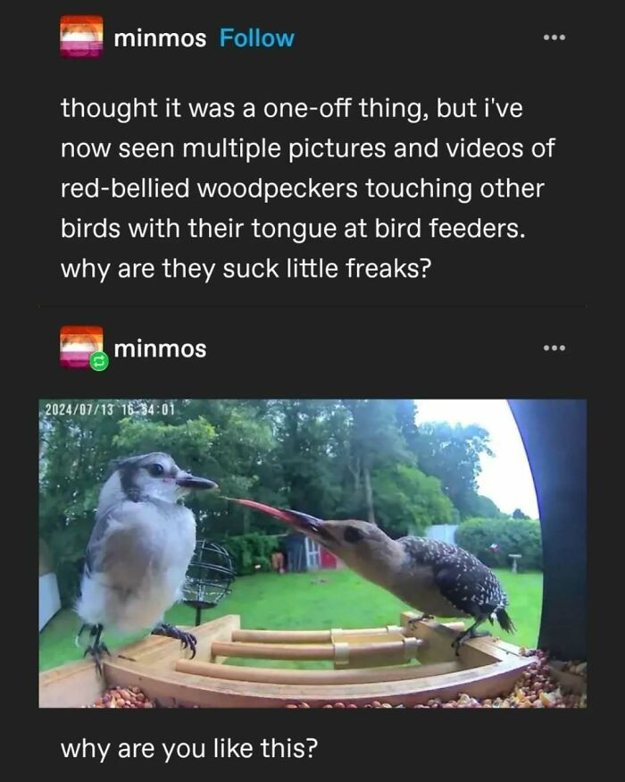 Tumblr's Comeback Party: 30+ Hilarious Posts That Prove It's Not Dead Yet