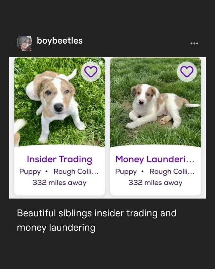 Tumblr's Comeback Party: 30+ Hilarious Posts That Prove It's Not Dead Yet