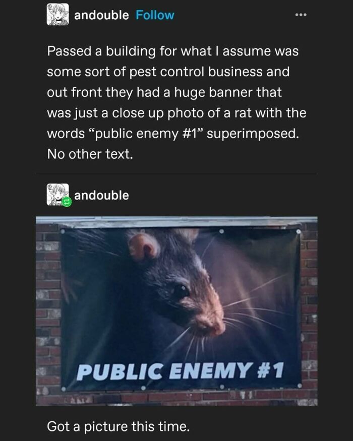 Tumblr's Comeback Party: 30+ Hilarious Posts That Prove It's Not Dead Yet