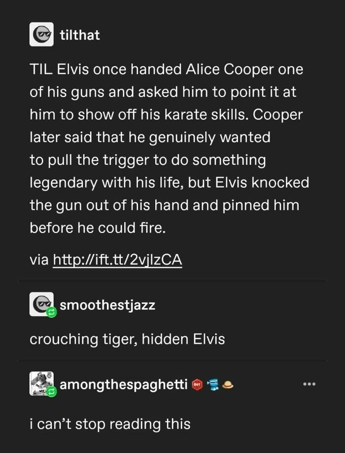 Tumblr's Comeback Party: 30+ Hilarious Posts That Prove It's Not Dead Yet