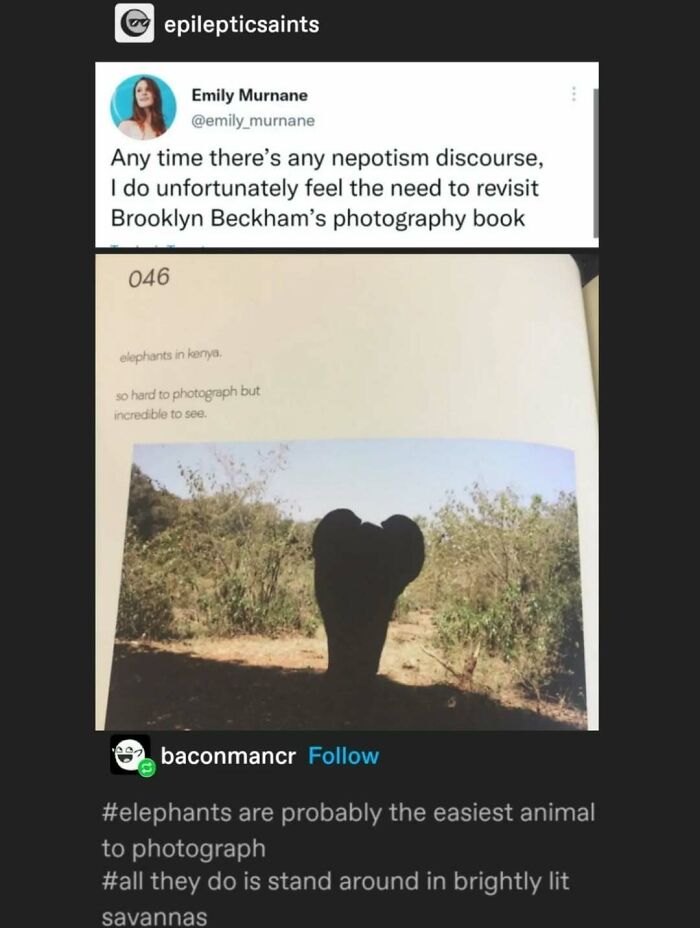 Tumblr's Comeback Party: 30+ Hilarious Posts That Prove It's Not Dead Yet