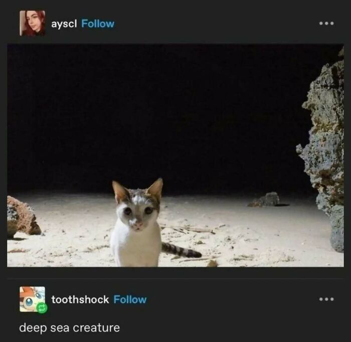 Tumblr's Comeback Party: 30+ Hilarious Posts That Prove It's Not Dead Yet