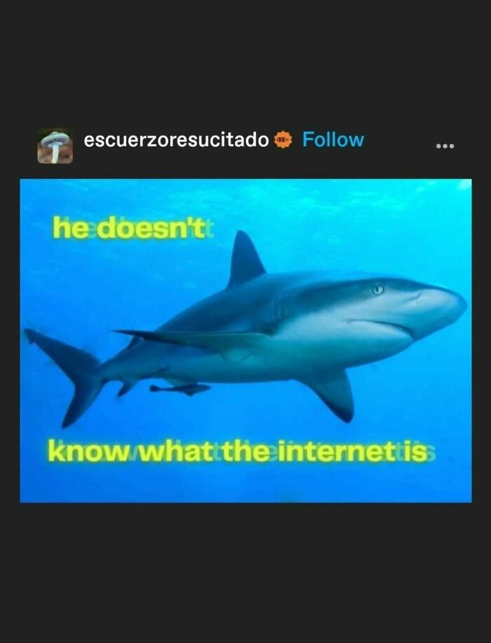 Tumblr's Comeback Party: 30+ Hilarious Posts That Prove It's Not Dead Yet