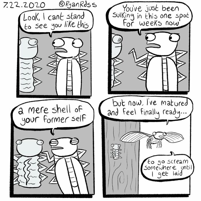 Wait Till You See These 40 Ryan Rds Comics That Flip the Script!