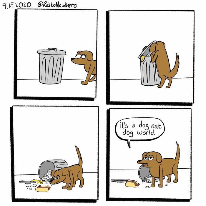 Wait Till You See These 40 Ryan Rds Comics That Flip the Script!