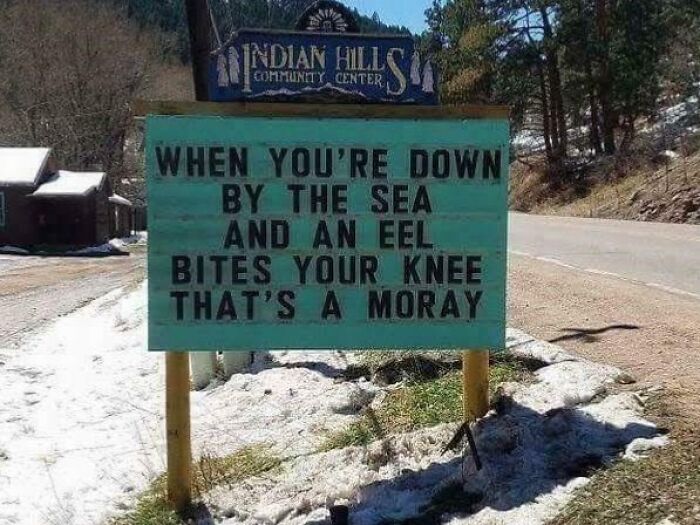 Watch Out! That’s A Moray!