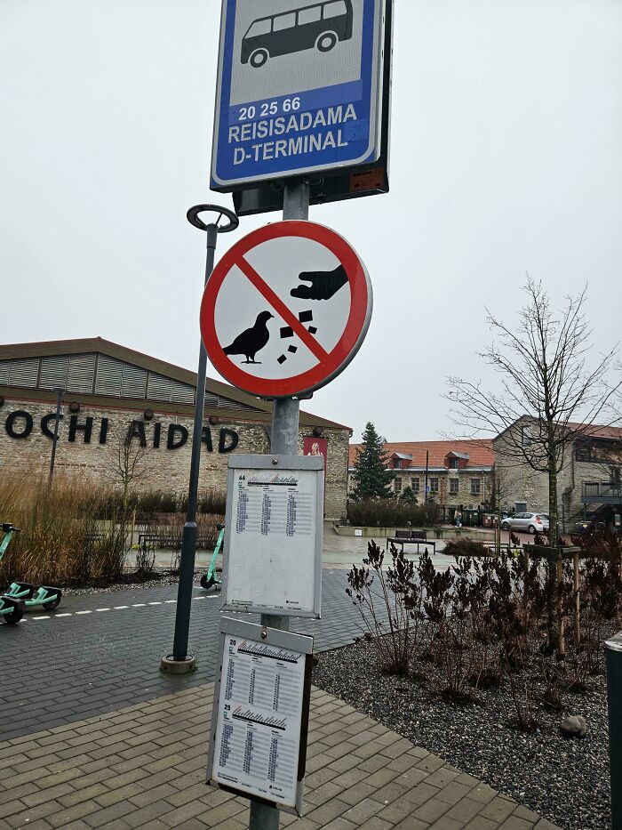 When Dice Playing Pigeons Get Banned