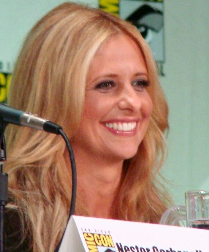 Sarah Michelle Gellar: Buffy and Burger King Rebel