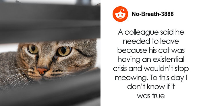 The Wildest Work Escape Excuses That Actually Worked