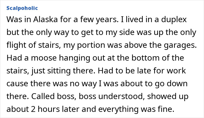 The Wildest Work Escape Excuses That Actually Worked