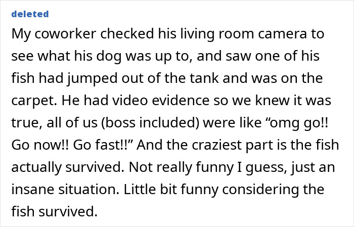 The Wildest Work Escape Excuses That Actually Worked