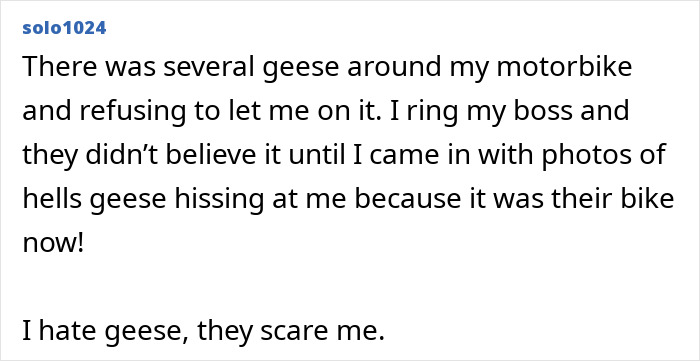 The Wildest Work Escape Excuses That Actually Worked