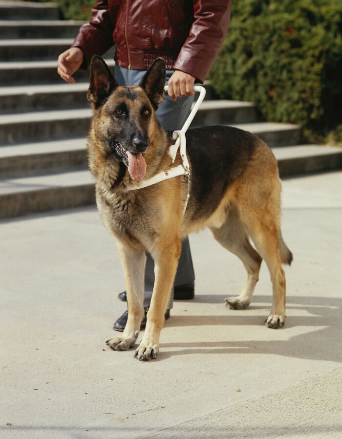 73 Wild Stories That Prove Trusting Your Gut Is Basically Magic