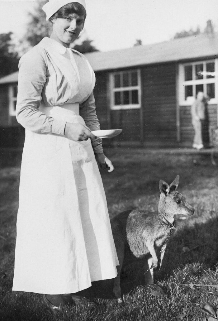 Nurse and Kangaroo Buddies, Around 1916