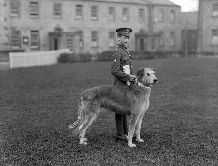 Drummer Boy and His Big Dog Mascot, 1917