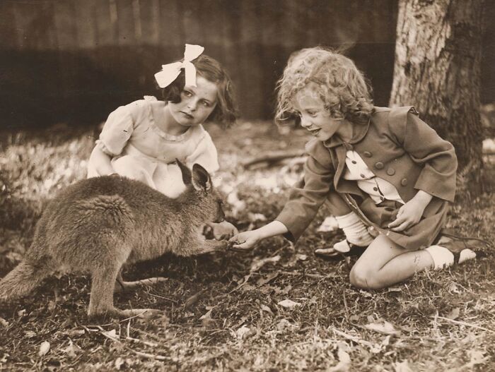 Girls and Kangaroo Hanging Out, 1925-1945