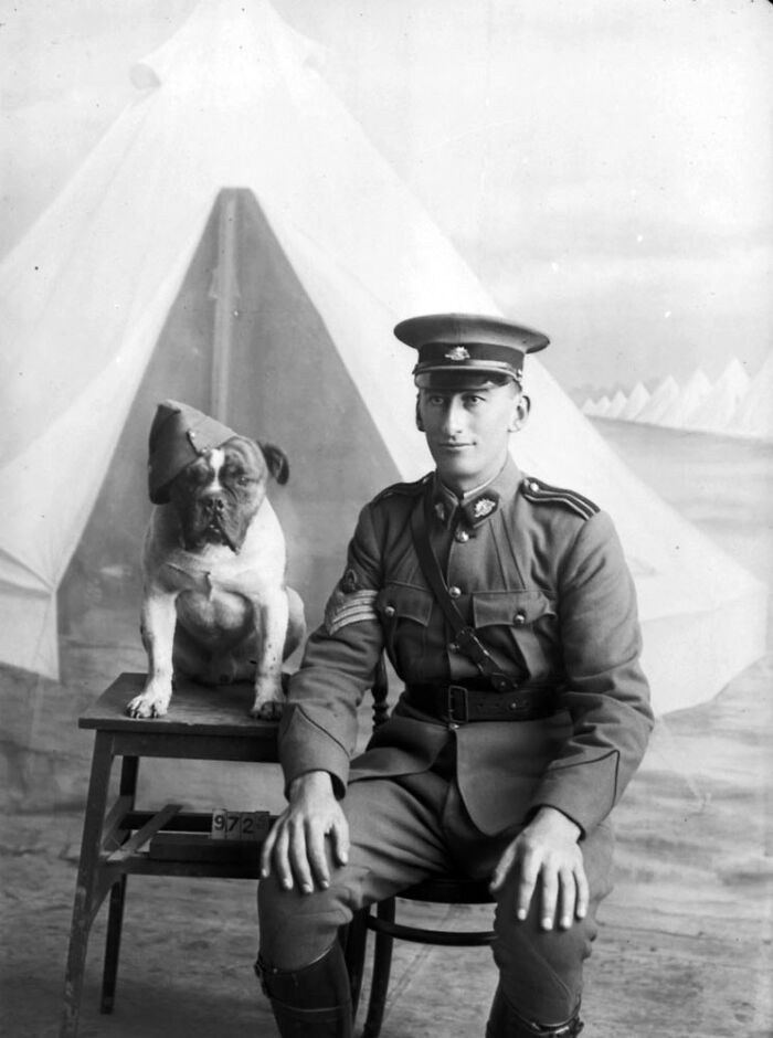 Sergeant Morgan and His Canine Sidekick, 1915