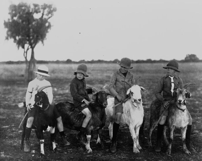 Four Boys Riding Goats—Because Of Course, 1918