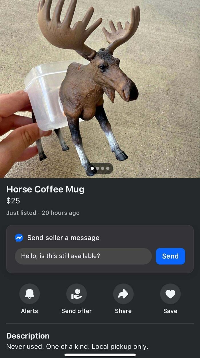 Horse Coffee Mug—Why Not?