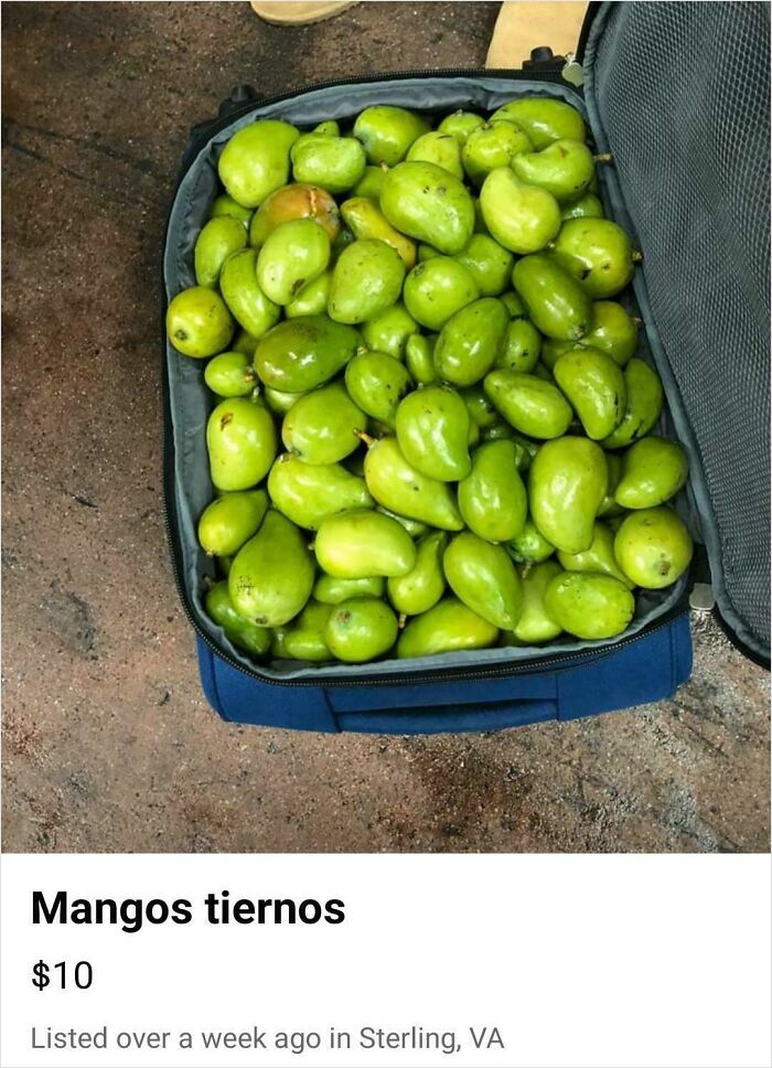 Suitcase Full of Mangos—Because Why Not?