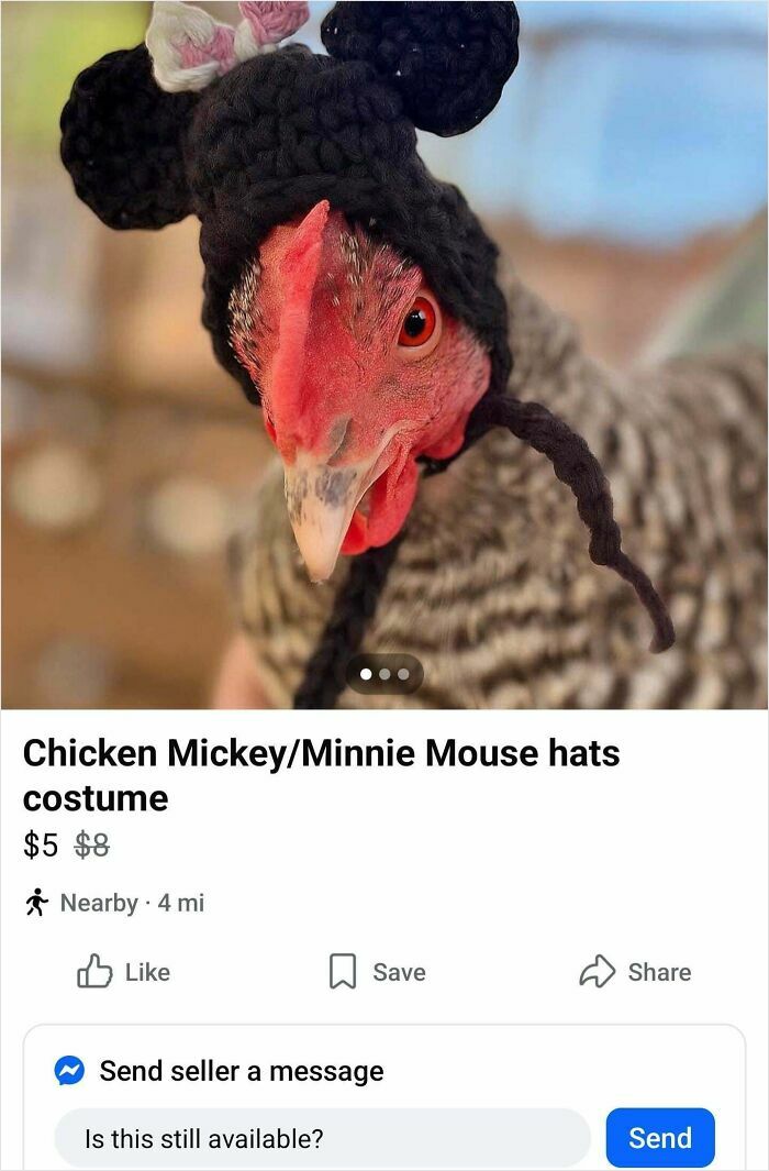 Crocheted Hats for Chickens? Sure!