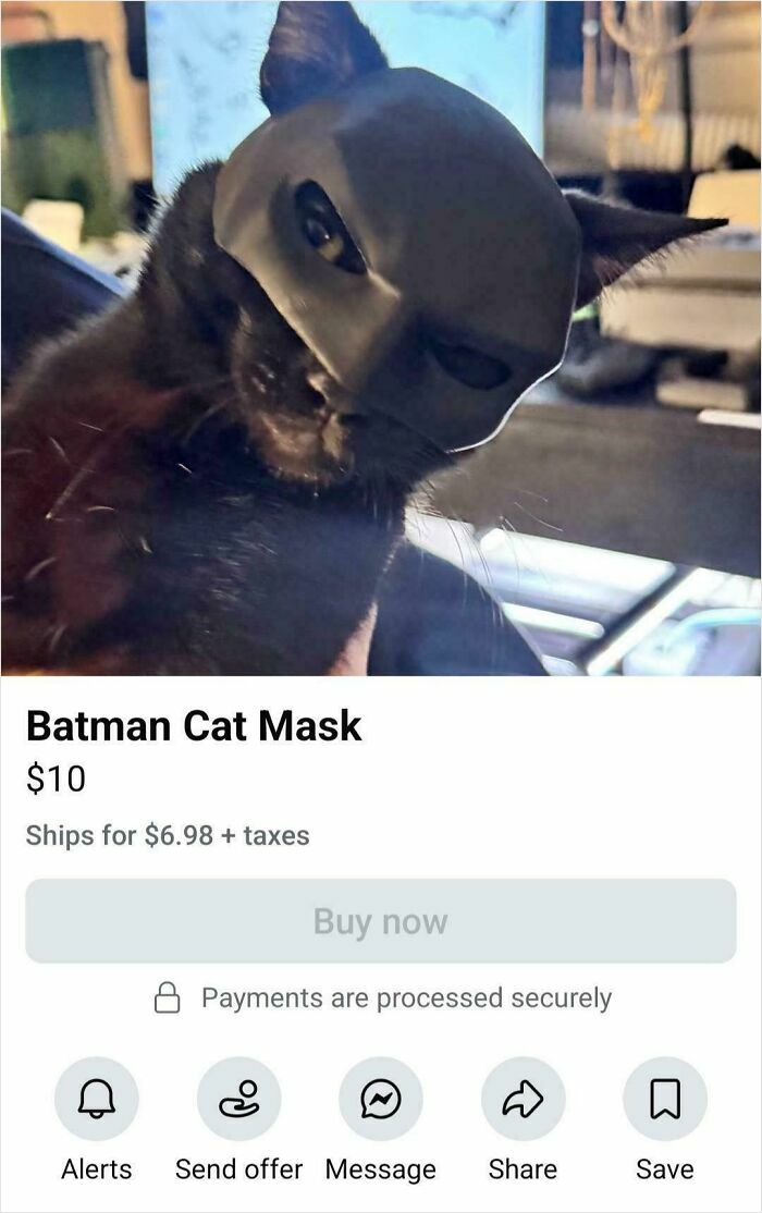 Batman Cat Mask—Cat Nobility Level: Expert