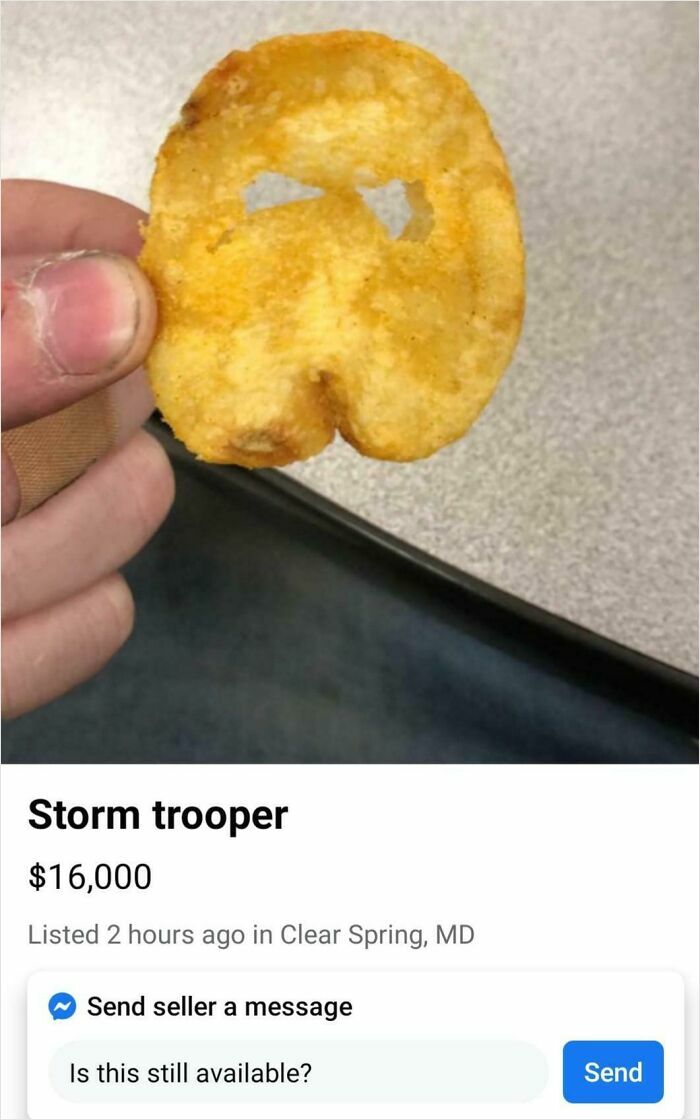 One Pricey Potato Chip