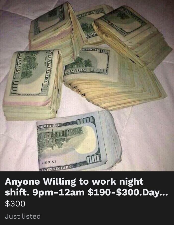 Why Are So Many of These in My Feed?